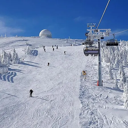 Hotel The New View *